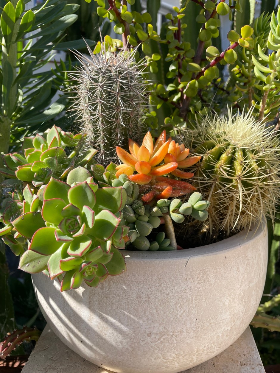 apartment ferienhaus menorca cala galdana urlaub meer casa dieter fun